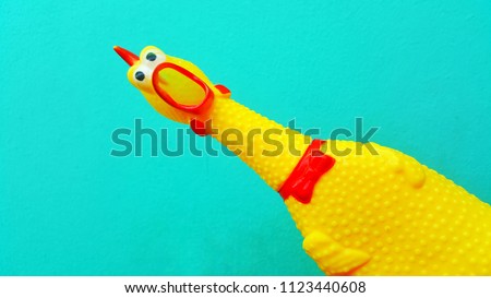 Shrilling Chicken squeaky toy . toy rubber shriek yellow chicken isolated on blue background