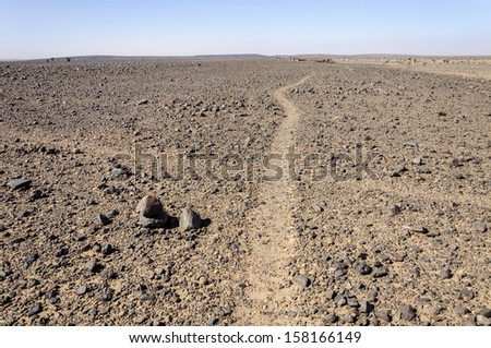Morocco, Hamada du Draa (Stone desert) Path crossing with dromedary caravan in background