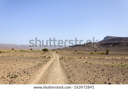 People walking on dirt road in stone desert  with acacia trees and mountains on background (Hamada du Draa, Morocco)