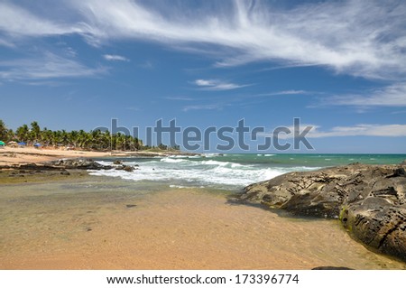 Beach of Praia do Forte with cliffs in foreground, Salvador de Bahia (Brazil)