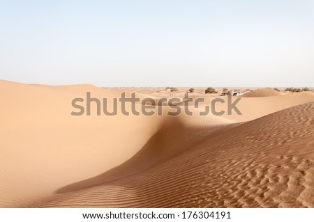 Tents among sand dunes, Hamada du Draa, moroccan stone desert (Morocco)