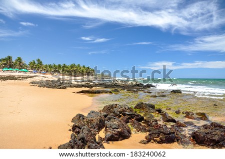 Beach of Praia do Forte with colored beach umbrellas, Salvador de Bahia (Brazil)