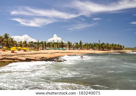 Beach of Praia do Forte with colored beach umbrellas, Salvador de Bahia (Brazil)