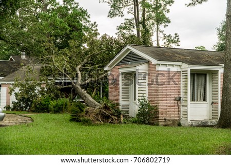 Fallen Tree on a home in Dickinson Texas after Hurricane Harvey