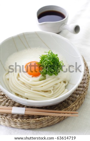 Japanese cold udon noodles with egg yolk and mountain yam puree