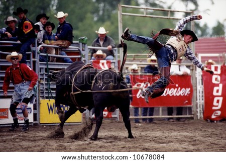 Rodeo: Bull Fighting - Editorial