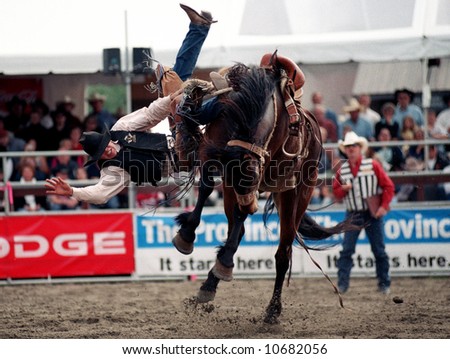 Rodeo Saddle Bronc