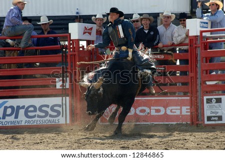 Rodeo: Bull Riding