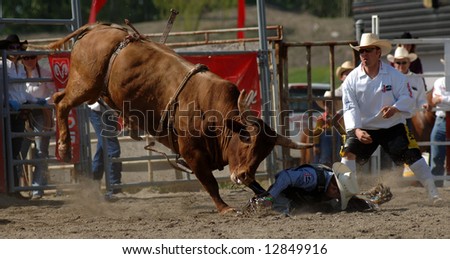 Rodeo: Bull Riding