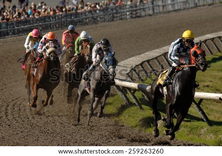 VANCOUVER, CANADA - SEPTEMBER 9, 2014: Horses ridden by jockeys compete at Hastings Park in Vancouver, Canada, on September 9, 2014.