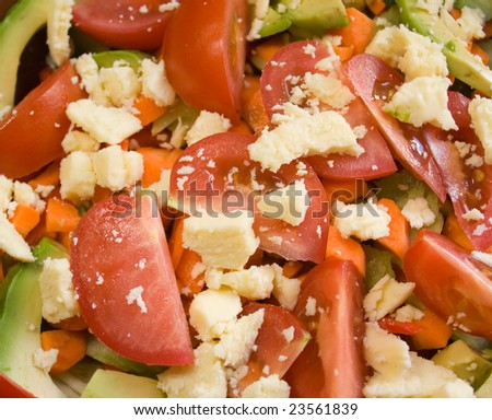 Close up image of fresh garden salad with tomato, cheese and avocado