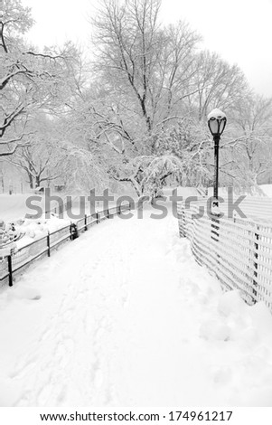 Snowstorm in Central Park, Manhattan New York