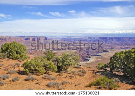 Eroded Red Rock Landscape of Canyonlands National Park, Southwest Utah, USA