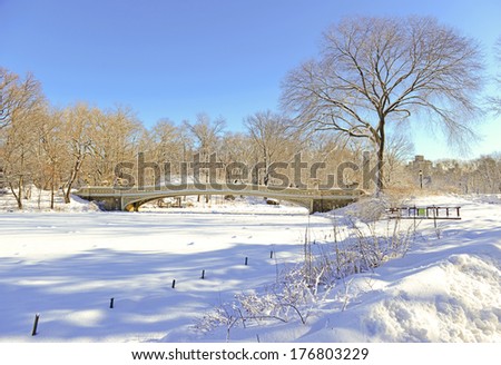 Bow Bridge and Frozen Pond, Central Park New York