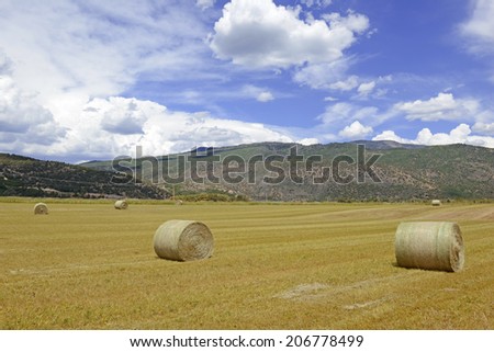 Rolled Hay on farm in Rural landscape