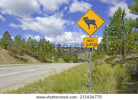 Bighorn sheep crossing warning sign on road in the Rocky Mountains