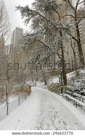 Central Park in the snow, Manhattan, New York