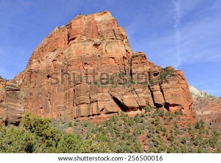 Red rock landscape in Zion National Park, Utah