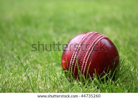 cricket ball leather