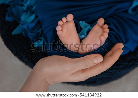 newborn baby feet and hands of parents. Palms together.