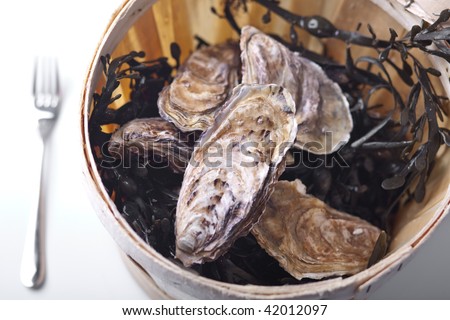 Wooden bucket with oysters and seaweed