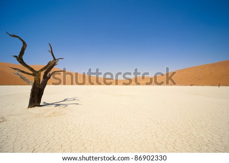 Sossusvlei dead valley landscape in the Namibian desert near Sesriem, Namibia