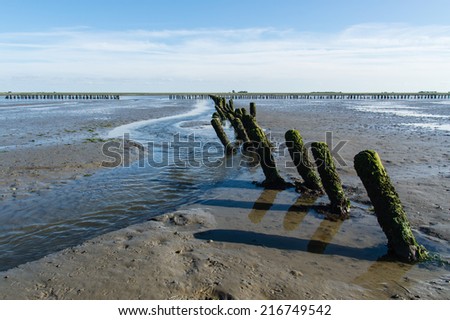 Coastal Feature of the dutch mud flats