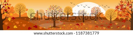 Panoramic of Countryside landscape in autumn, Vector illustration of horizontal banner of autumn landscape mountains and maple trees fallen with yellow foliage.