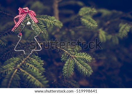 Christmas tree shape on real pine tree. Christmas tree miniature shape on branch.