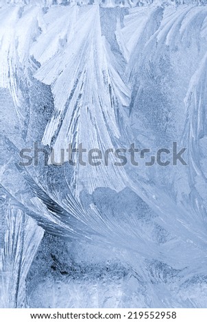 natural ornaments on Ice natural ornaments on Ice