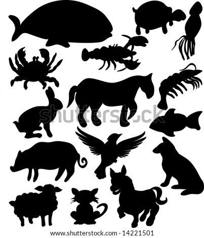 illustration of farm and aquatic animals