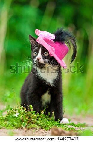 Adorable kitten with pink hat