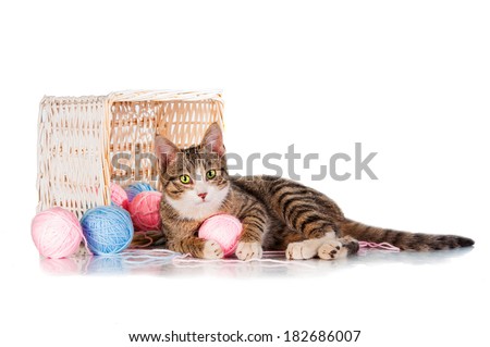 Cat playing with balls of yarn isolated on white background