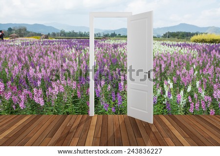 Landscape behind the opening door