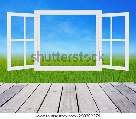 landscape behind opening window