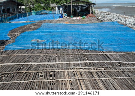 bamboo floor in the place for making Shrimp paste under the sun, Thail  agriculture ,