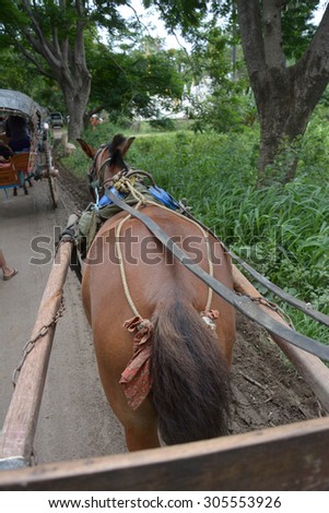 Unidentified carriage of passengers and carrying supplies the local road runs along to a village in Inwa ancient city,Mandalay ,Myanmar.
