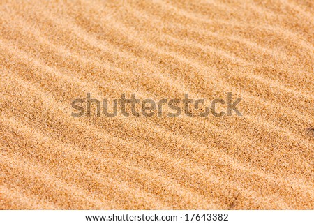 Ripple patterns blown by the wind on the beach sand