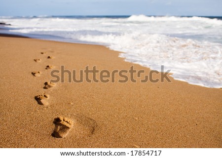 Human footprints leading away from the viewer into the sea
