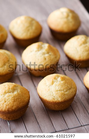 Freshly baked vanilla muffins cooling off on metal grid