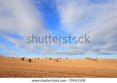 Straw bales on farmland on sunny day (wide angle perspective)