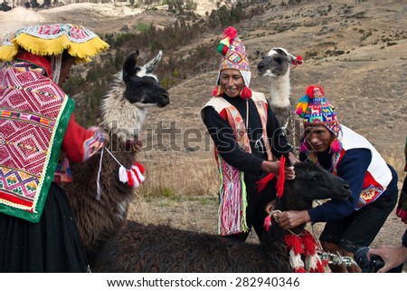 Peru - 5 July, 2011 - Peruvian peasants in traditional costumes and their llamas.