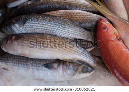 Sao Paulo, Brazil - 15 August, 2015 - fresh fish to sell in a street market stall.