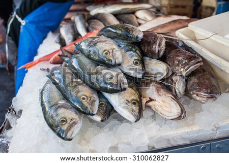 Sao Paulo, Brazil - 15 August, 2015 - fresh fish to sell in a street market stall.