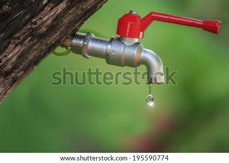 Trees support our life by give some water to us from tree to faucet valve.