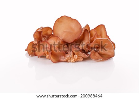 isolated of Fresh Wood Ear mushrooms, Auricularia Polytricha, tree ear, black fungus, Judas\' ear, jelly fungus, yung ngo, mu-er, ear fungus, kikurage, mokurage and aragekikura  on White Background