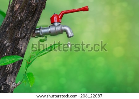 Abstract, Trees support our life by give some water to us from tree to faucet valve.
