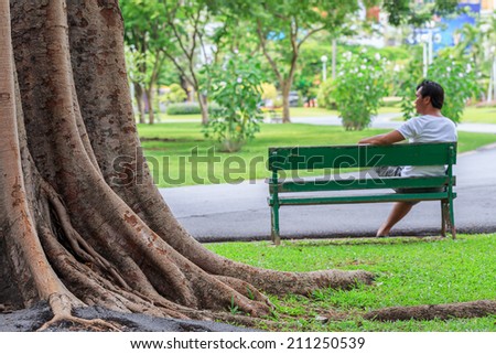 Big Tree in public garden cover the Relaxing bench, chair, stool beside walkway in the public park, with resting people. (Select focus on  a big tree)