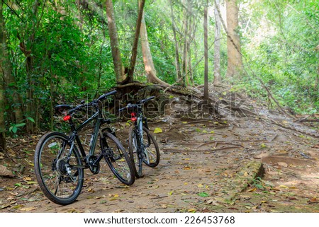 Travel bike in green forest national park, Thailand