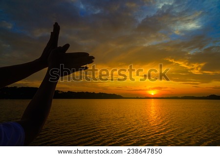 silhouette of hands like bird on beautiful sunset or sunrise and cloudscape in the  morning or twilight with water reflex